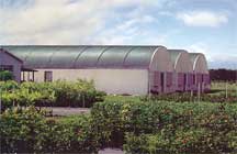Quonset shade house