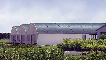 Shades crop and reduces heat in greenhouse