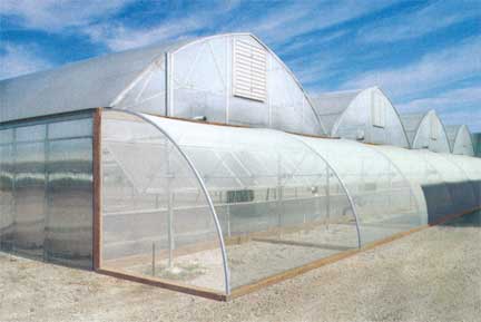 Ventilation system insect screen