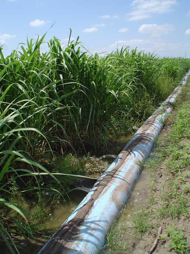 Poly-pipe irrigation