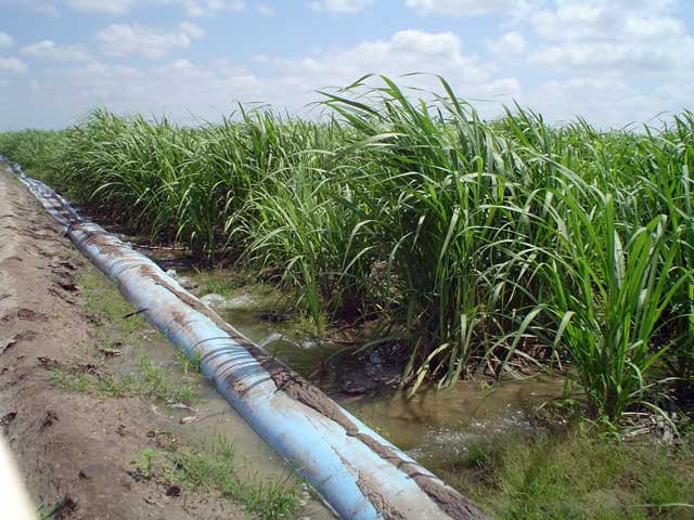 Poly-pipe irrigation tubing