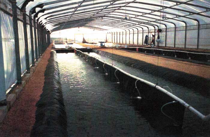 Aquaculture liners made of Permalon