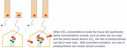 Carbon dioxide conentrations