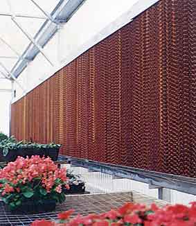 Cooling pads installed in a greenhouse