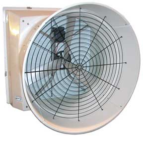 Advantage fan