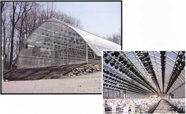 PT 30 modified Gothic high tunnel greenhouse