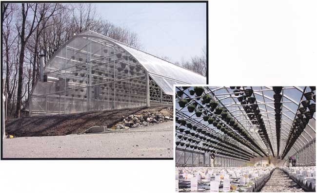 Gothic 2000 Greenhouse