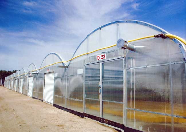 Expansion Mansion gutter connected commercial greenhouse