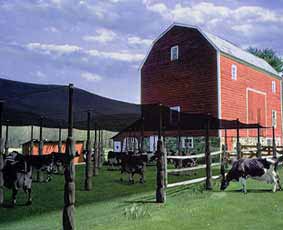 Farm animal shade