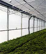 Greenhouse Sidewall