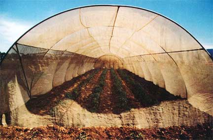 Quonset insect screen