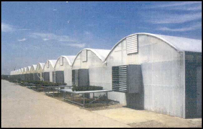 Quonsetter 3000 greenhouse