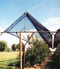 Vineyards trellis shade