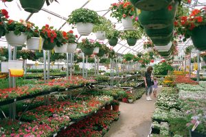 Garden Centers Design and Layout
