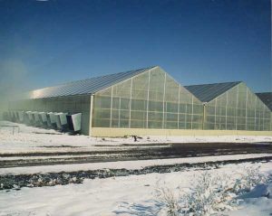 Commercial and Institution Greenhouse