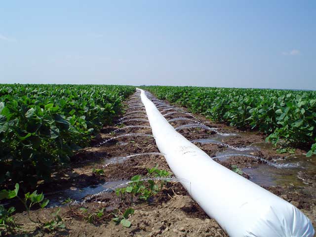 Poly-pipe Tube Irrigation