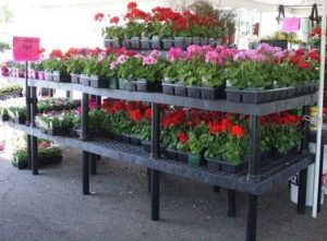 Multi-level Display Benches