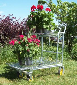 Nesting-Cart-w-Flip-Up-top-shelf