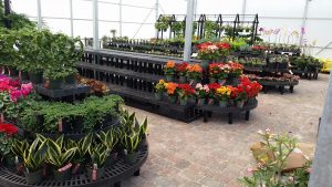 Tiered Wall Display Benches