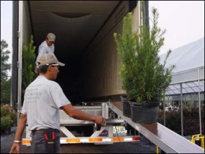 Truck-loading conveyors