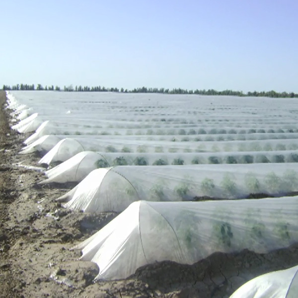 Agribon Crop Cover