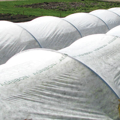 Agribon Crop Cover